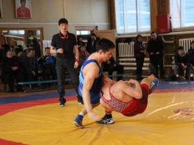 Постников, Скрябин, Павлов победили на турнире по вольной борьбе памяти Анатолия Константинова