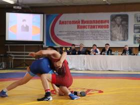 Постников, Скрябин, Павлов победили на турнире по вольной борьбе памяти Анатолия Константинова
