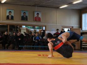 Постников, Скрябин, Павлов победили на турнире по вольной борьбе памяти Анатолия Константинова