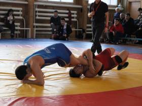 Постников, Скрябин, Павлов победили на турнире по вольной борьбе памяти Анатолия Константинова