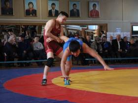 Постников, Скрябин, Павлов победили на турнире по вольной борьбе памяти Анатолия Константинова