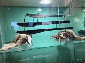 В Таттинском районе открылся этнологический музейный комплекс "Мандар Уус"