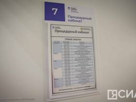 Новая врачебная амбулатория открылась в селе Тулагино-Кильдямцы