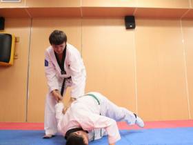 В Якутии создадут федерацию хапкидо