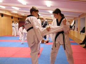 В Якутии создадут федерацию хапкидо