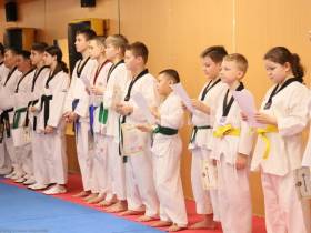 В Якутии создадут федерацию хапкидо