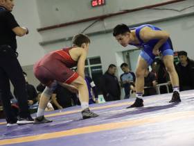 Определились финалисты чемпионата Якутии по вольной борьбе памяти Тарского