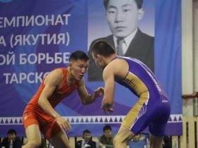 В Чурапче стали известны имена победителей чемпионата Якутии по вольной борьбе