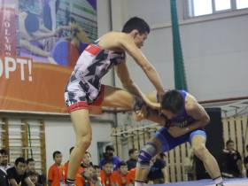 В Чурапче стали известны имена победителей чемпионата Якутии по вольной борьбе