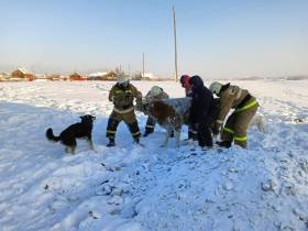 В Якутии пожарные спасли провалившуюся в прорубь корову