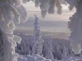 Зимний мираж сняли на видео в Якутии