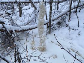 «Подобные явления могут участиться». Учёные выяснили причину незамерзающего ручья в Якутии