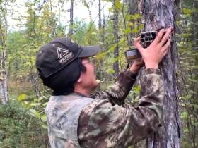 На грани исчезновения: в Якутии подвели первые итоги исследования азиатской дикуши