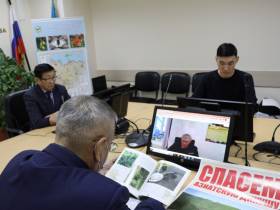 На грани исчезновения: в Якутии подвели первые итоги исследования азиатской дикуши