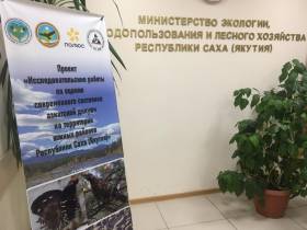 На грани исчезновения: в Якутии подвели первые итоги исследования азиатской дикуши