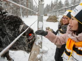 «Таас-Юрях Нефтегазодобыча» поможет бизонам в Якутии