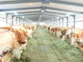 В Якутии два сельхозпредприятия получат федеральные субсидии на строительство коровников