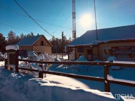 Разведение коров якутской породы планируют развивать в селе Хатылама