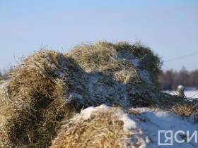Сельское хозяйство, связь и дороги. Какие вопросы ставят жители отдалённых сёл Кобяйского района