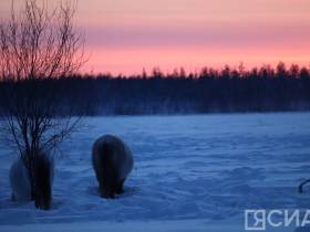 Павел Иванов: «‎Все вопросы, которые ставят жители Кобяйского района, будут отработаны»