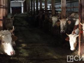 Павел Иванов: «‎Все вопросы, которые ставят жители Кобяйского района, будут отработаны»