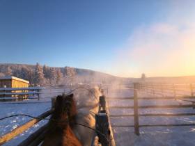 Фермер из Оймяконского района примет участие в конкурсе «Агростартап-2023»