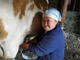 Фермер из Оймяконского района примет участие в конкурсе «Агростартап-2023»