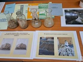 Обсудили вопросы и проблемы восстановления популяции якутской породы коров и лошадей