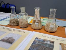 Обсудили вопросы и проблемы восстановления популяции якутской породы коров и лошадей