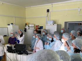 Семинар об оказании помощи больным с нарушениями мозгового кровообращения провели в Якутии