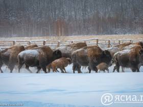 Топ-10 мест, которые стоит посетить этой весной в Якутске и его окрестностях