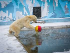 Топ-10 мест, которые стоит посетить этой весной в Якутске и его окрестностях