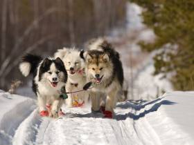 Топ-10 мест, которые стоит посетить этой весной в Якутске и его окрестностях