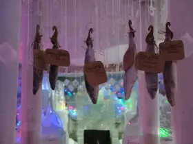 Топ-10 мест, которые стоит посетить этой весной в Якутске и его окрестностях