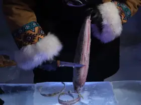 Топ-10 мест, которые стоит посетить этой весной в Якутске и его окрестностях