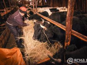 Диалог с властью: жители Нюрбинского улуса высоко оценили работу правительства Якутии