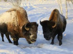Развитие туризма в Якутии: повышение турпотока, популярные маршруты и планы на 2023 год