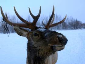 Развитие туризма в Якутии: повышение турпотока, популярные маршруты и планы на 2023 год
