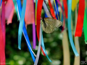 Развитие туризма в Якутии: повышение турпотока, популярные маршруты и планы на 2023 год