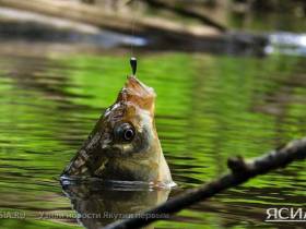 Развитие туризма в Якутии: повышение турпотока, популярные маршруты и планы на 2023 год