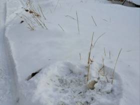 Кругом снег, наледь и прорывы воды: жители аварийных домов в Якутске бьют тревогу