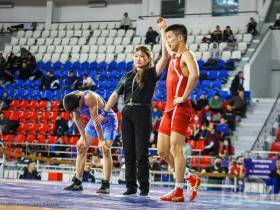 Стали известны все финалисты первого дня турнира Романа Дмитриева по вольной борьбе