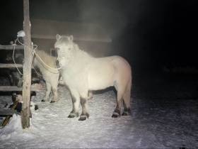 «Самую трудную часть дороги уже проехали». Дугуйдан Винокуров продолжает путь до Магаданской области