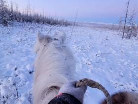 «Самую трудную часть дороги уже проехали». Дугуйдан Винокуров продолжает путь до Магаданской области