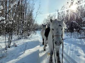 «Самую трудную часть дороги уже проехали». Дугуйдан Винокуров продолжает путь до Магаданской области