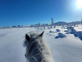 «Самую трудную часть дороги уже проехали». Дугуйдан Винокуров продолжает путь до Магаданской области