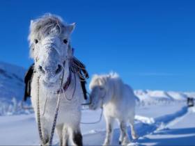 «Самую трудную часть дороги уже проехали». Дугуйдан Винокуров продолжает путь до Магаданской области