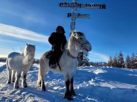 «Самую трудную часть дороги уже проехали». Дугуйдан Винокуров продолжает путь до Магаданской области
