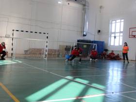 Чемпионат республики по голболу среди лиц с нарушением зрения стартовал в Якутске