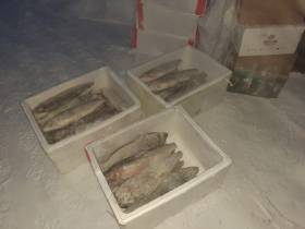 Светлана Диодорова — о том, как якутяне помогают бойцам, и почему она провожала сына с улыбкой